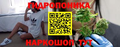 хмурый Гусев