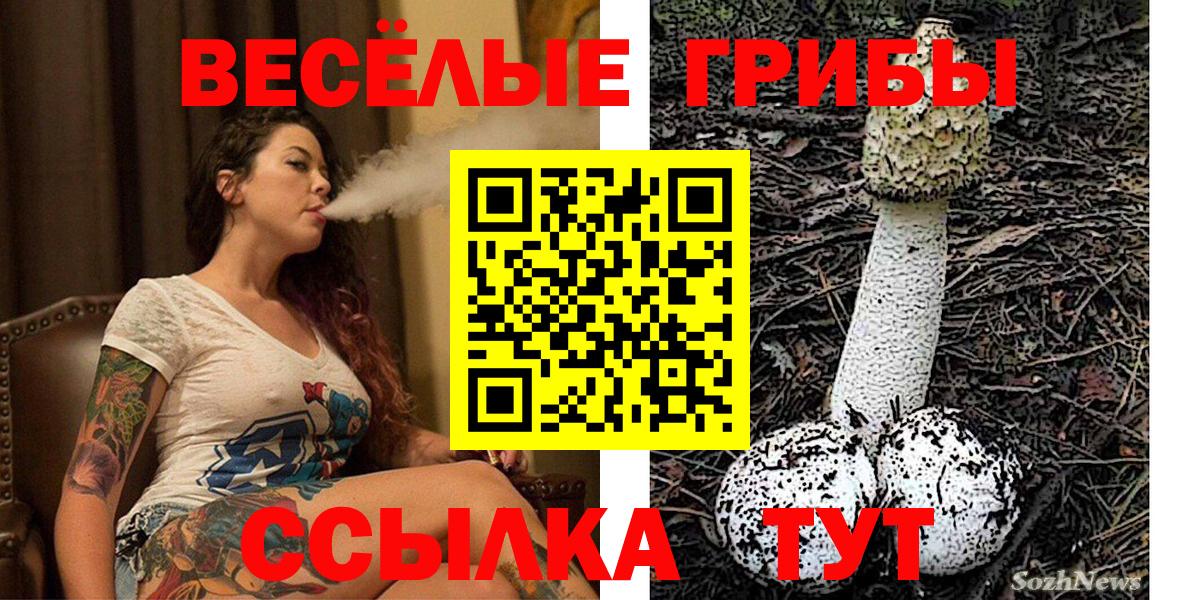 Псилоцибиновые грибы Cubensis Фролово